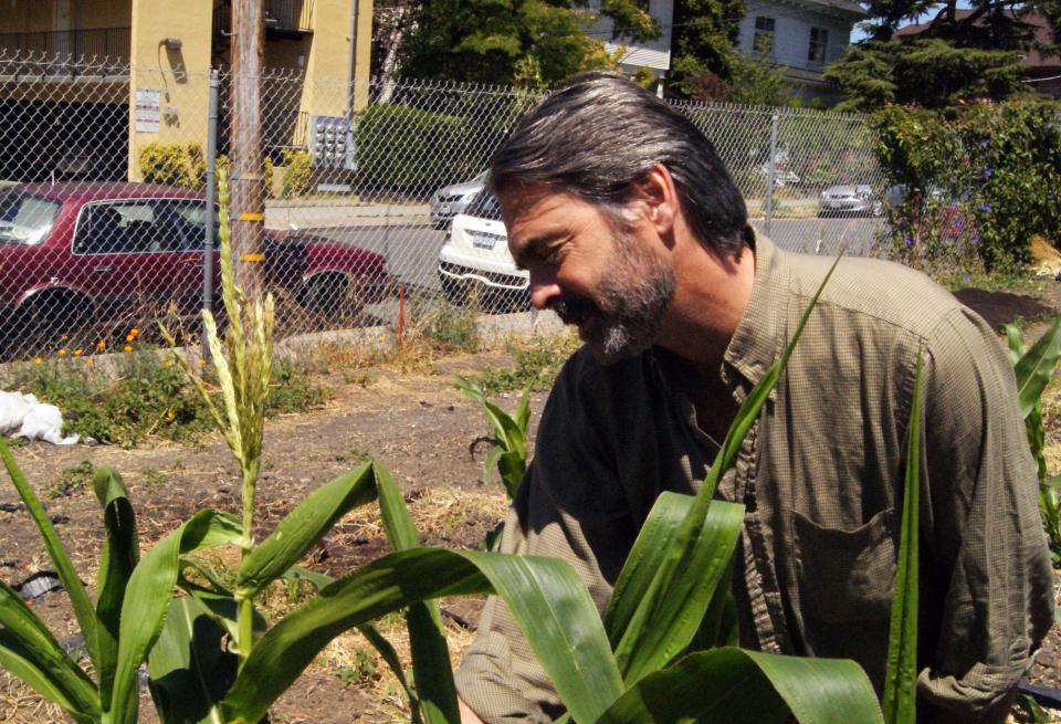 Damon Lisch Examining Corn