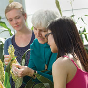 Peggy Lemaux, in the Greenhouse with students