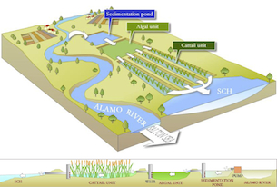 Slaton Sea proposed wetlands design