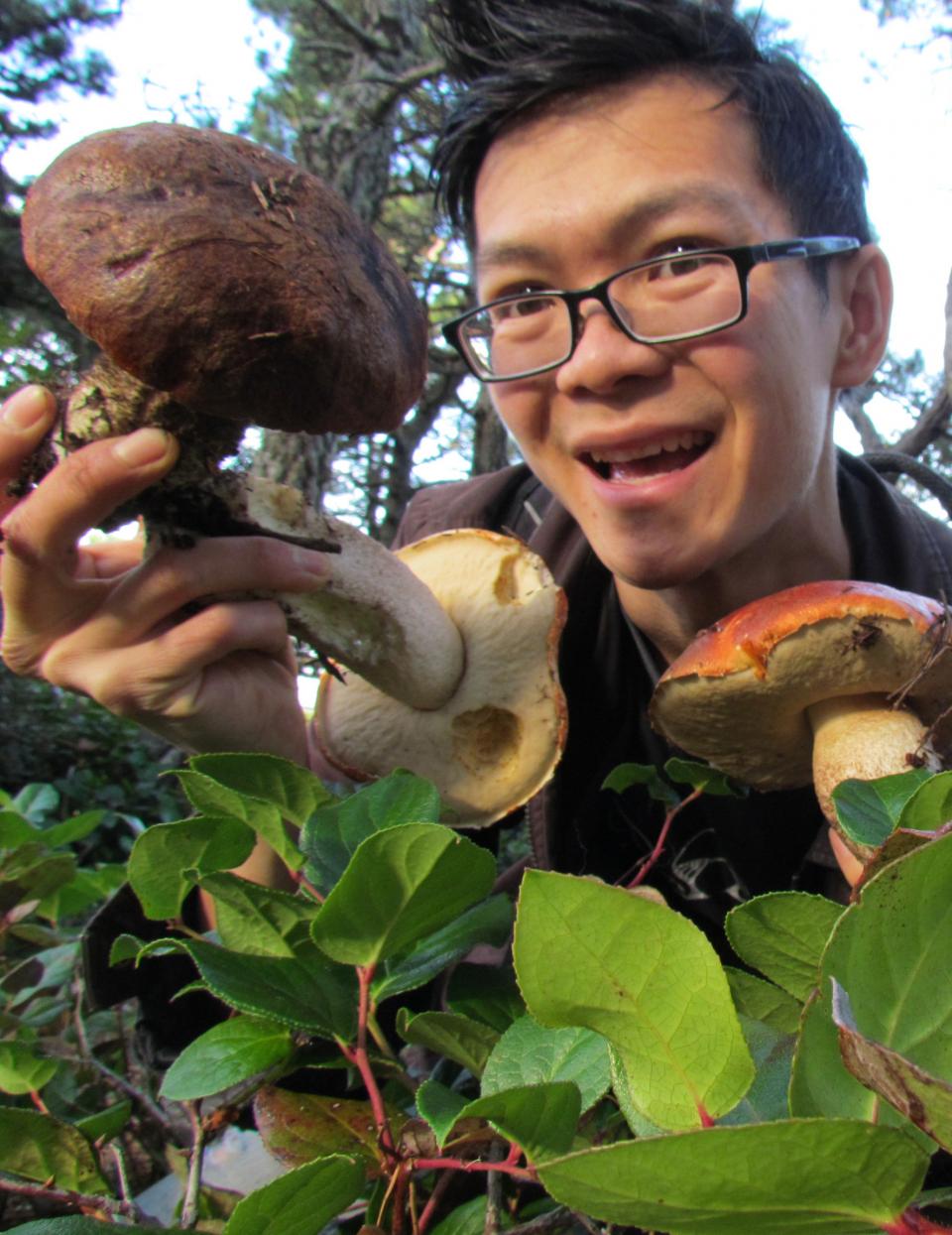 Researcher Ngu Nguyen in the field with a leccinum specimen