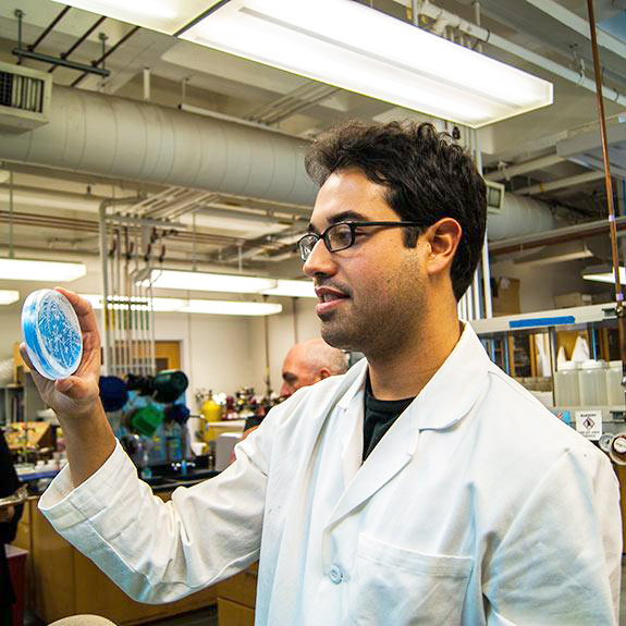 A researcher holding up a petri dish in a lab