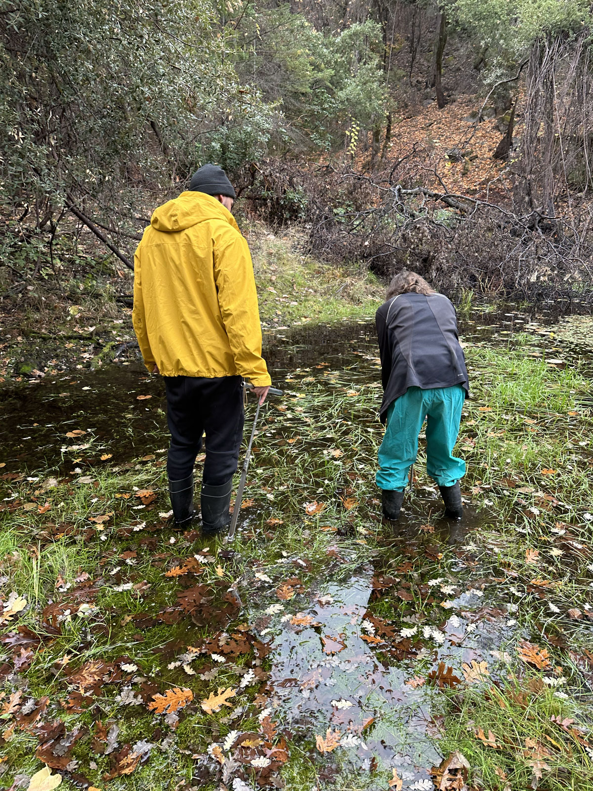 Luis Valentin-Alvarado, PhD ’23 and Dr. Jill Banfield in swampy area