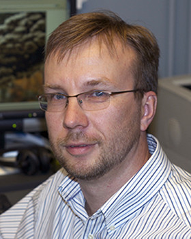 Igor Grigoriev Igor Grigoriev