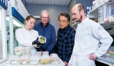 Researcher Abigail Stevens, Brian Staskawicz, Myeong-Je Cho, and researcher Maxwell Vetterli examine a cacao plant in growth medium at the Plant Genomics and Transformation Facility.