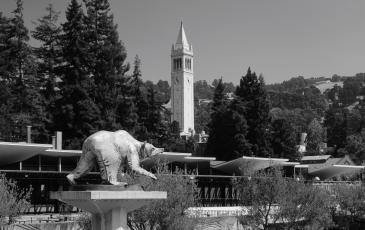 Bear statue in front of the Campanile.