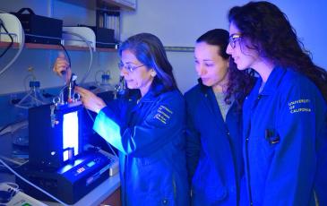 Three researchers in a low-lit room look at algae in a photobioreactor.