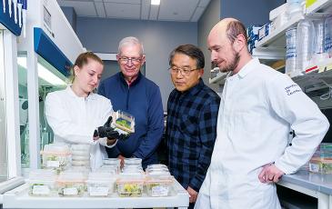 Researcher Abigail Stevens, Brian Staskawicz, Myeong-Je Cho, and researcher Maxwell Vetterli examine a cacao plant in growth medium at the Plant Genomics and Transformation Facility.