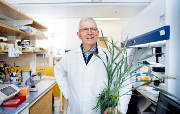 Man stands in a lab holding a plant