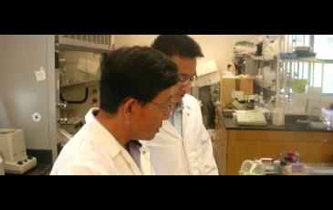 two scientists examine a plant in a lab