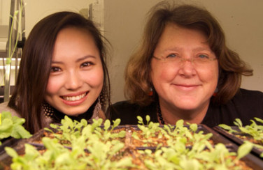 Chihiro Harai, researcher, and Mary Wildermuth, Principal Investigator