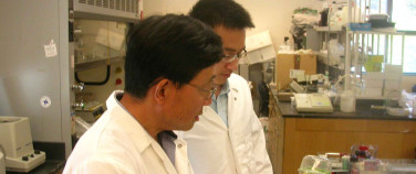 two scientists examine a plant in a lab two scientists examine a plant in a lab