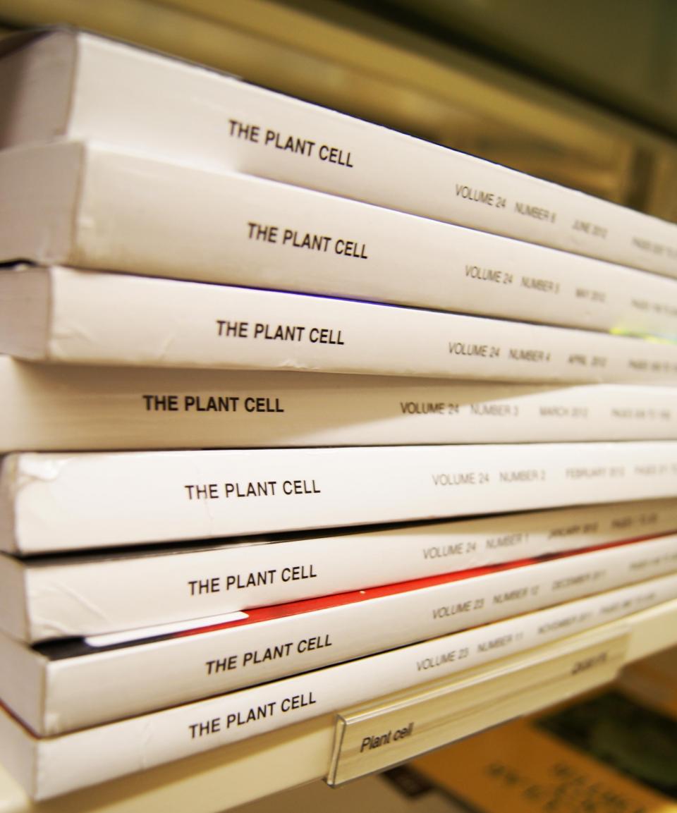 Berkeley phd thesis library