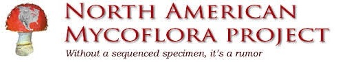 mycoflora logo