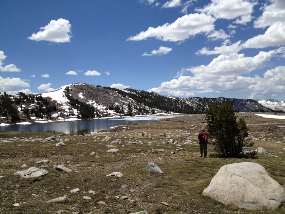 Tom Bruns, wearing his iconic train conductor hat, stands beneath a ‘tree island’ in Yosemite National Park (photo by Sydney Glassman)